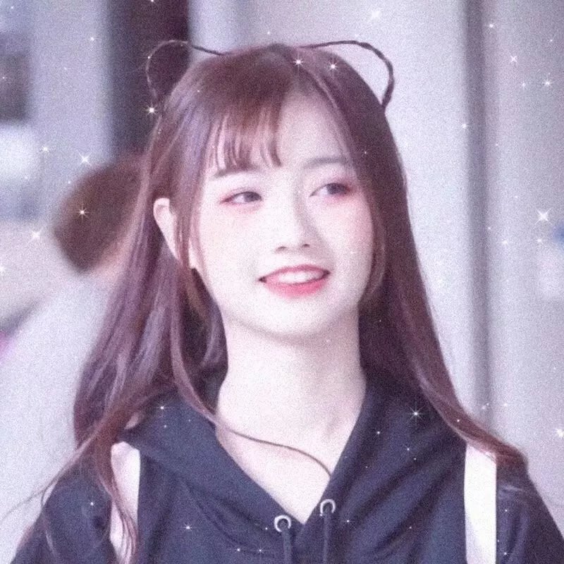 房子与狗